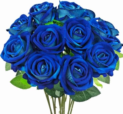 o  10{Zbg  u[ [Yԑ A[gt[ KN u[P ͂Ȃ CeA ԏ a o^Cf[ ̓ j v[g ʐ^Bep 