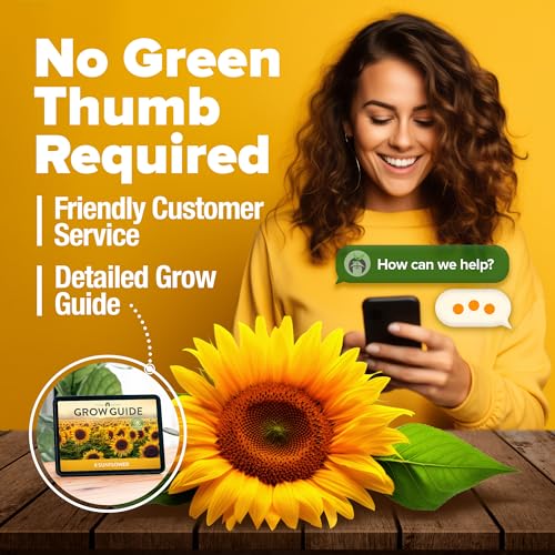 Image of HOME GROWN Sunflower Seeds for Planting | 8 Varieties |1000+ Non-GMO Sun Flower Seeds Packets to Plant: Grow Dwarf Sunflowers, Mexican Sunflowers, Wild, Lemon Queen,Autumn Beauty,Sunspot, Velvet Queen