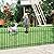 FOREHOGAR Decorative Metal Garden Fence 24 in H x 10 ft L, Border Fence Panels Animal Barrier for Dogs, No Dig Garden Fencing for Yard Patio Flower Bed Lawn Outdoor 5 Panels + 6 Stakes Black