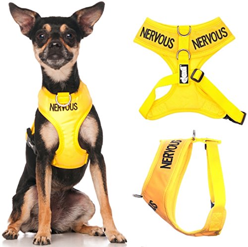 NERVOUS (Give Me Space) Harnais de code couleur jaune pour chien avec un anneaux en D rembourrés à lavant et à larrière, étanche, empêche les accidents en rendant votre chien visible à une distance