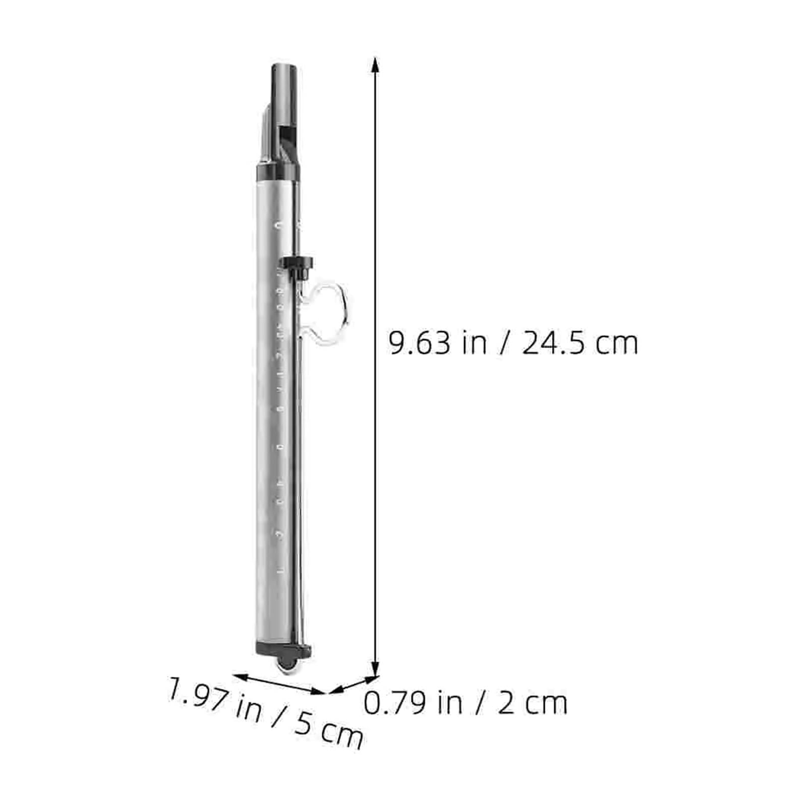 Flauto A Pistone Fischietto for diapositive in lega di alluminio blu Strumenti musicali Flauto piccolo Fischietti for adulti Principiante con rana sonora Strumento Educazione Musicale