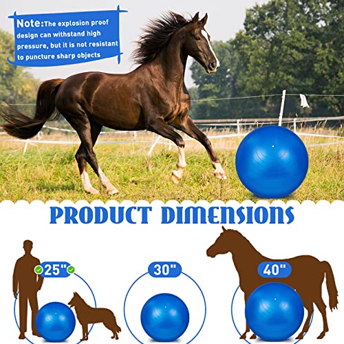 2 Pcs 25 Inch Horse Ball For Play Large Horse Ball Big Herding Ball For Horse Anti Burst Horse Soccer Ball Giant Horse Play Ball Toys For Horses To Play With, Pump Included (Dark Blue, 25 Inch) #TOP1