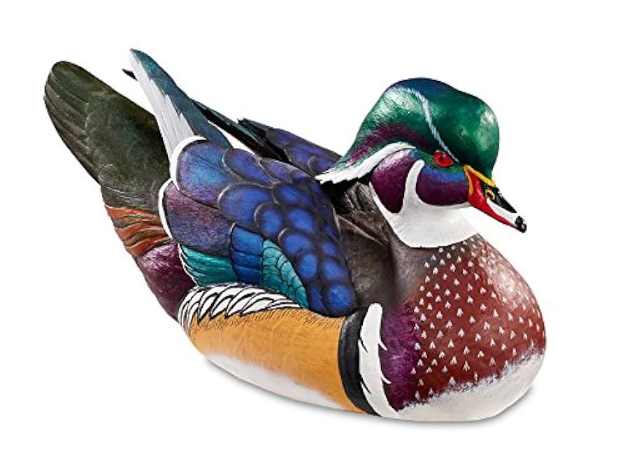 Amazon.co.jp: Swan Lake – Wood Duck Large Decoy by Sam Nottleman