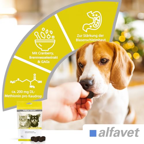 alfavet Feligum Struvit, Kaudrops zur Auflösung von Struvitsteinen, Katzen und kleine Hunde, 160g