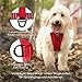 Kurgo TRU-Fit Leine, Halsband Hund, No Pull Hundegeschirr, Frontclipfunktion für Training & Hundegurt fürs Auto, Hunde Zubehör Größe M (mittel)