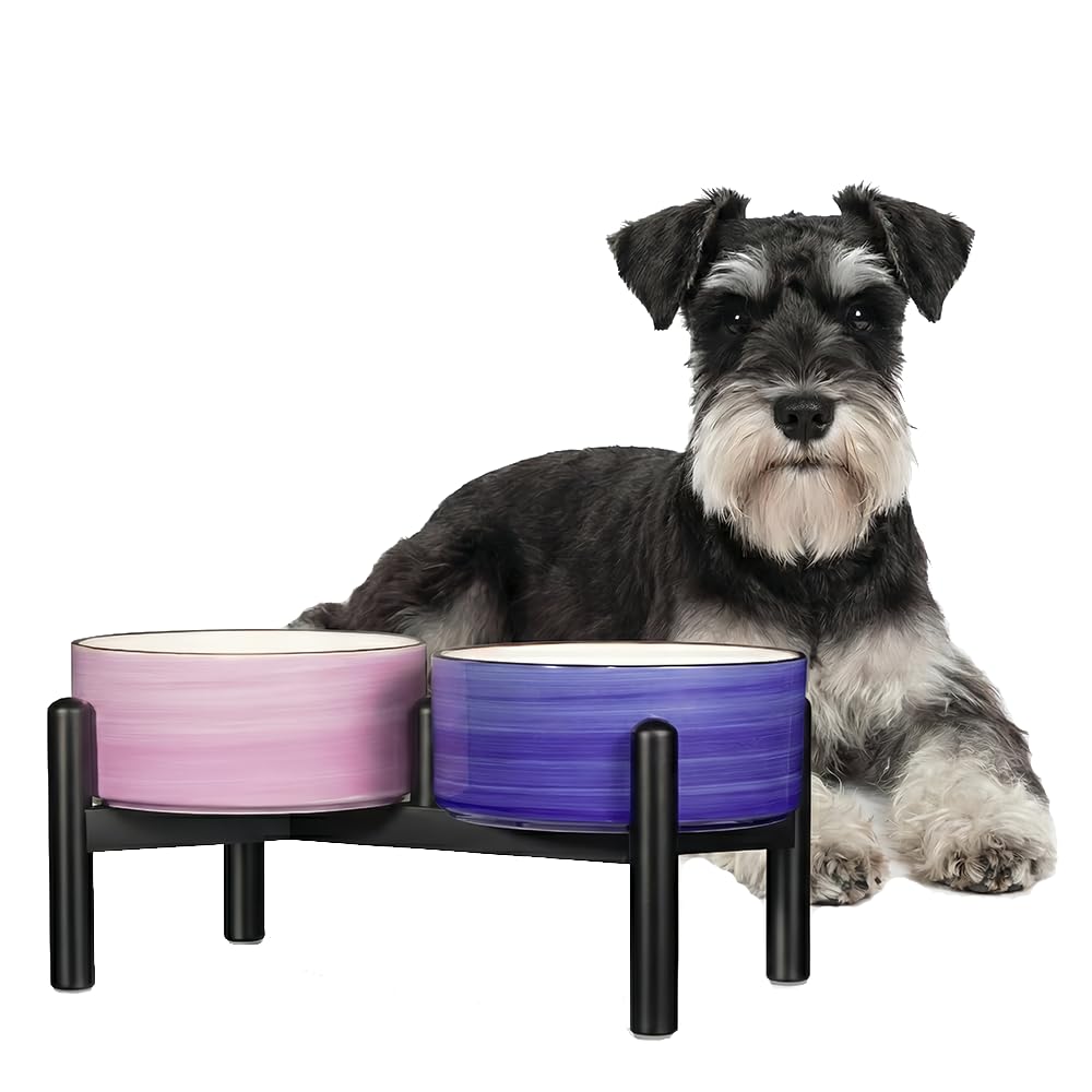 Ceramic Elevated Dog Bowl Set - Dog Feeder Station with Colorful Double Bowls for Small and Medium Size Breed - Non-Slip Raised Dish for Food and Water Feeding - 3.5 Cups / 22 fl oz - Classic Pastels