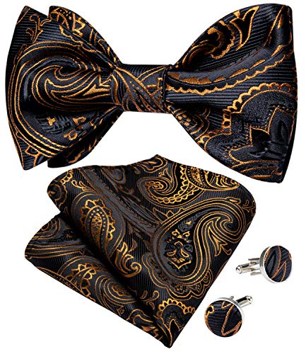 Image of DiBanGu Men Bow Tie Paisley Striped Self-Bow Tie for Men and Silk Woven Bowtie Pocket Square Cufflinks Wedding Party
