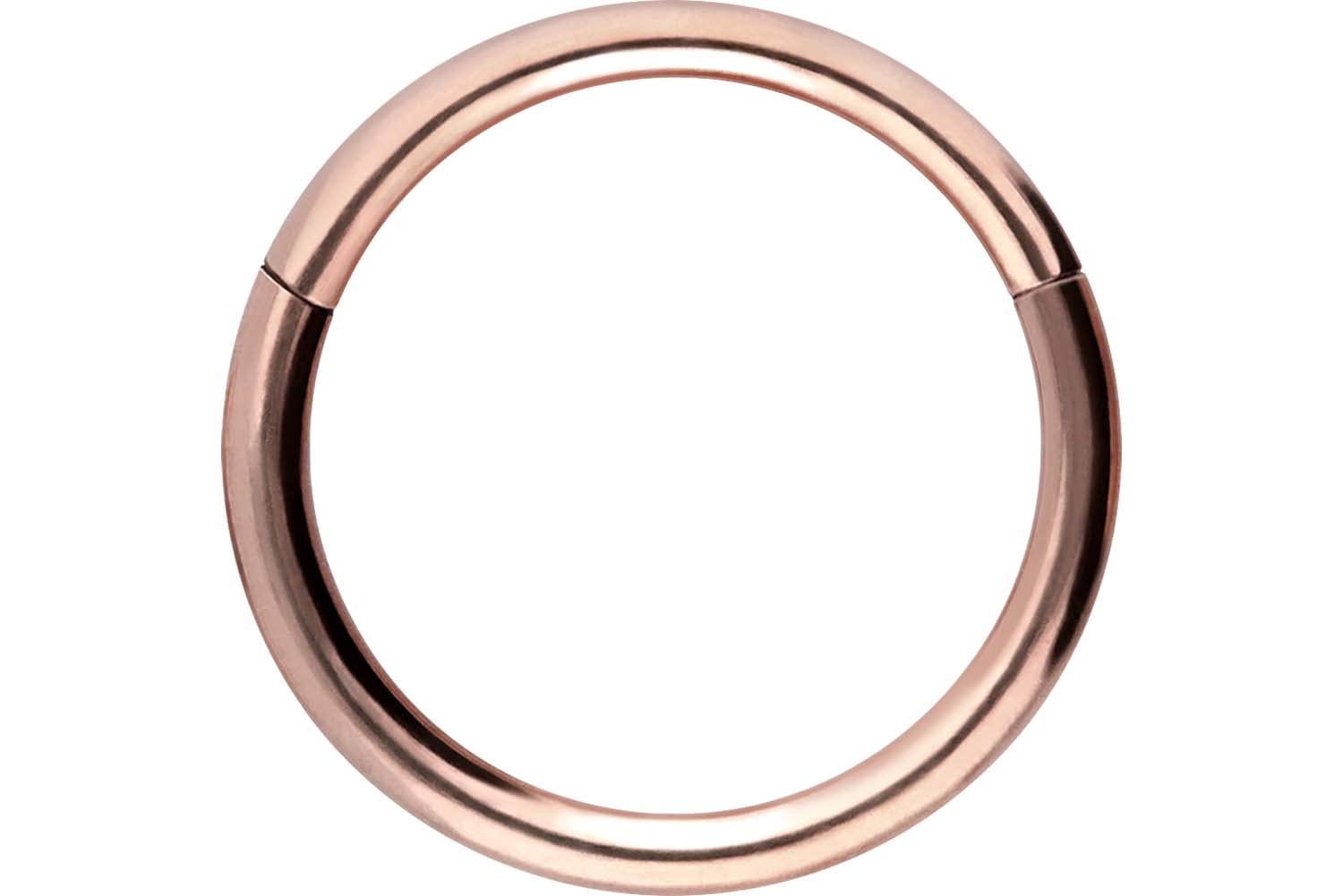 PIERCINGLINE Anillo segmento Clicker de acero quirúrgico – Piercing en oro, plata, rosa, negro o azul – para nariz, tabique, oreja, hélice o tragus — view 81