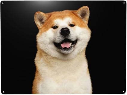 Amazon Co Jp 壁の装飾秋田犬 犬柄 メタルサインの装飾 壁の装飾 メタルサイン ウォールアート 居酒屋 カフェ アート 家の壁の装飾 メタルプレート ブリキ 看板 30 40cm ホーム キッチン