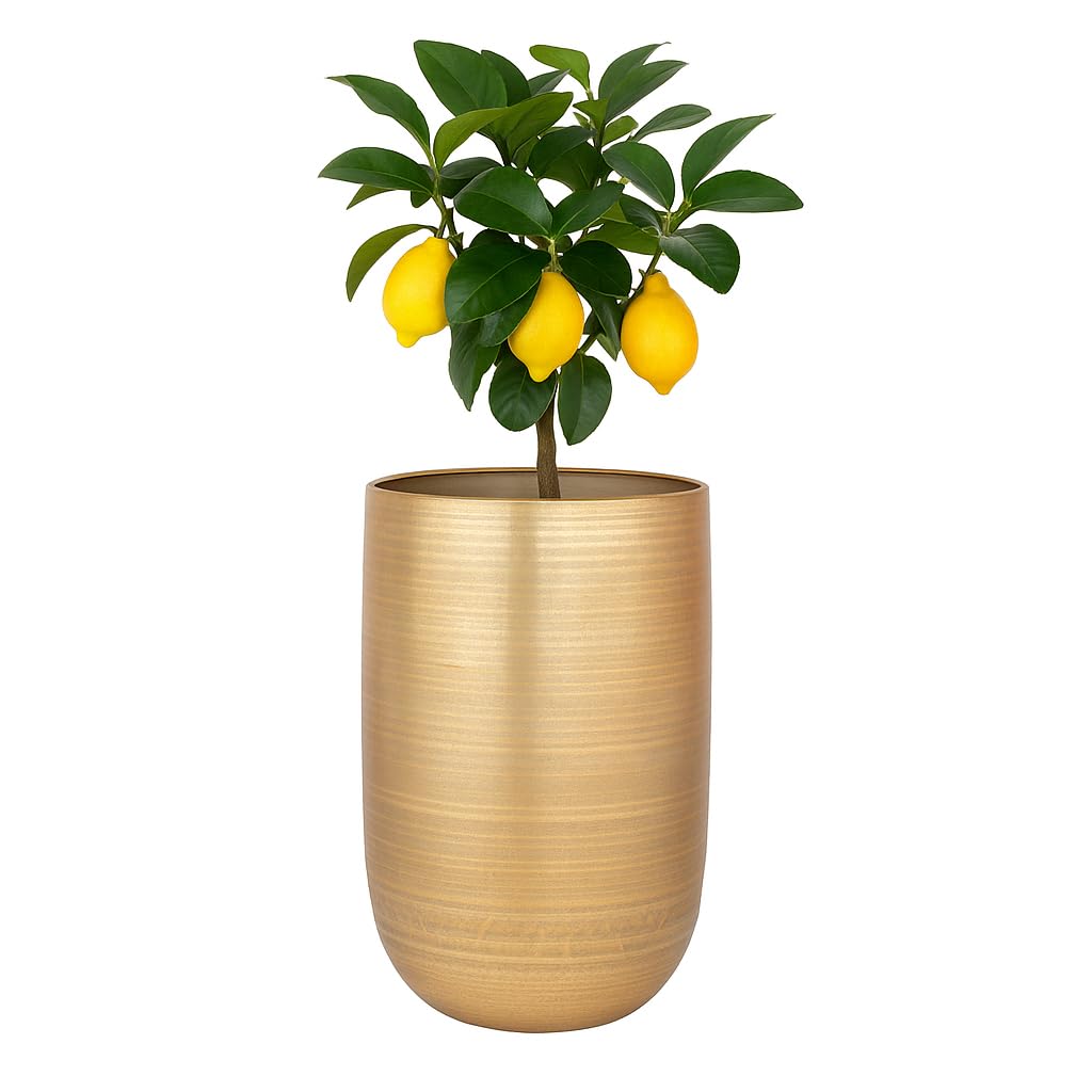 Moderner Blumentopf Camiel Gold handgefertigt aus Aluminium 65 cm