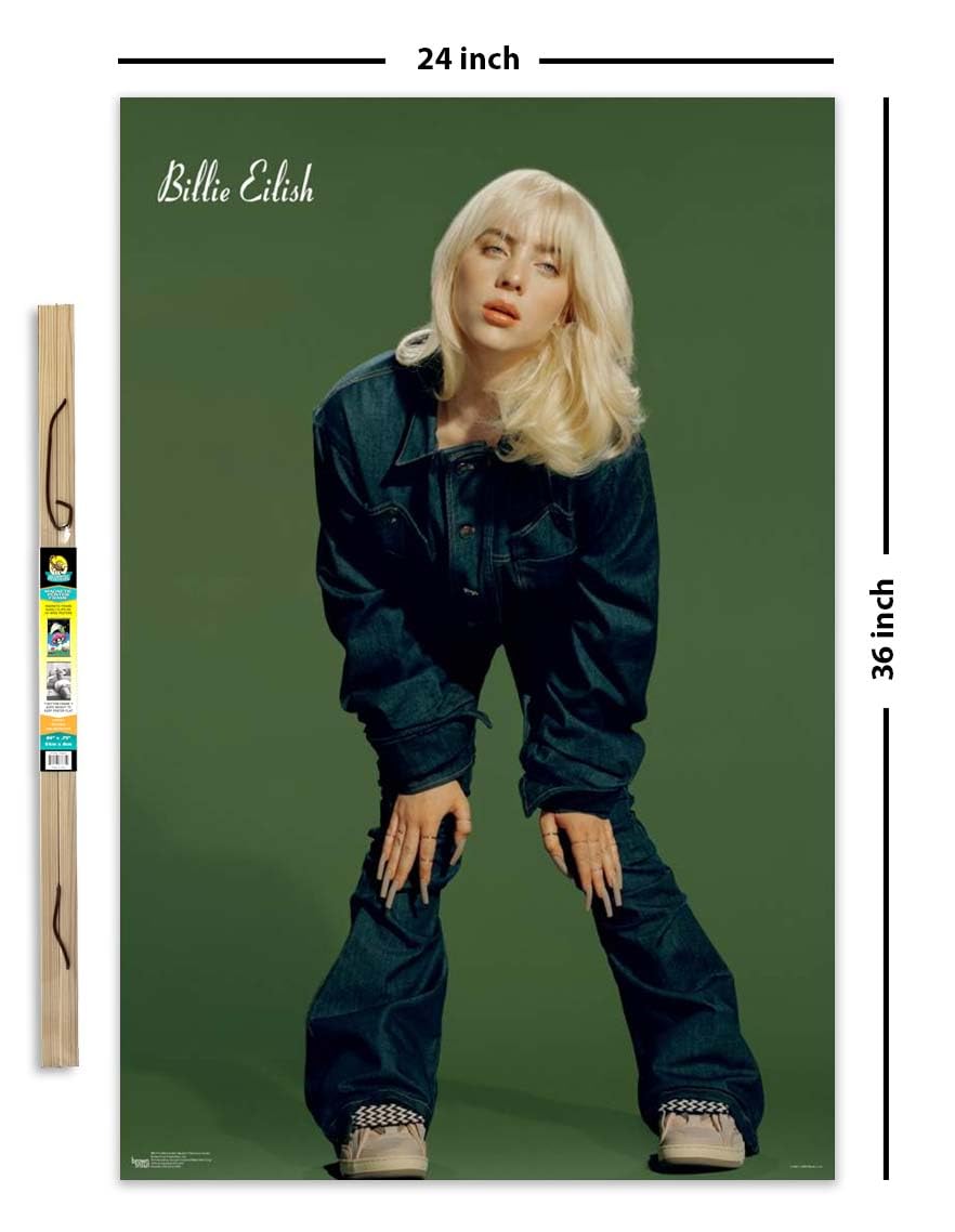 Amazon.com: Billie Eilish - Denim Poster - Officially