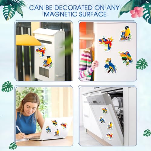 Imanes decorativos de loros tropicales 4 piezas miniatura 4