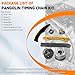 PANGOLIN Timing Chain Kit with 2PCS VVT Gear Sprocket for 2012-2016 Accent Sonata Tucson Veloster Kia Rio Forte5 Soul 1.6L Engine, Replacement OE 243502B600 243702B610 244312B620
