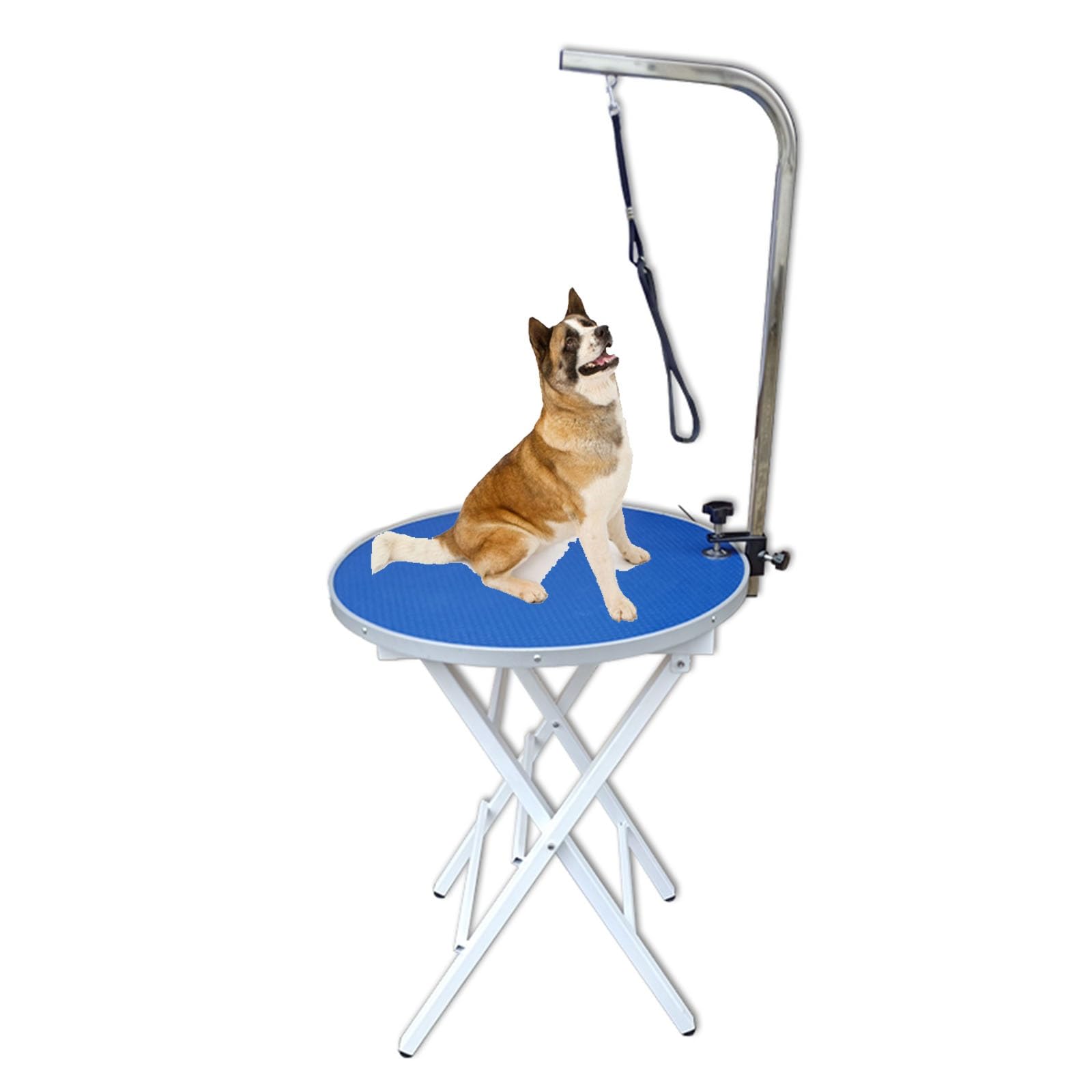 Blauer Faltbarer Fellpflegetisch für kleine Hunde, höhenverstellbarer Hunde-/Katzen-Schönheitsständer zum Baden und Trimmen, tragbarer Fellpflege-Werkzeughalter für Zwergspitz/Bichon/Schnauzer/Yorki