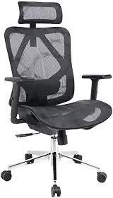 Cadeira de Escritório Diretor Dr.office Giratória Ergo, Mesh Respirável, Regulagem de Altura, Apoio Lombar, Cor Preta