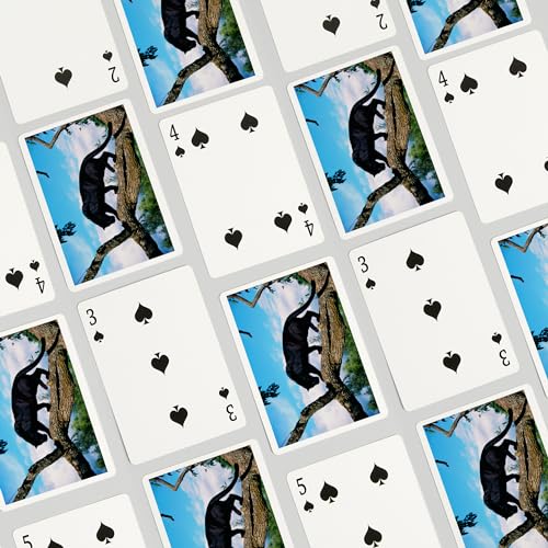Lantern Press Baraja de Poker Black Panther 52 cartas miniatura 4