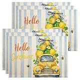 Ajustement flexible : que ce soit pour les repas à la maison, les banquets d'hôtel, les cafés, les pique-niques sur la terrasse, le camping en plein air ou les réunions de jardin, ces sets de table ajoutent style et fonctionnalité