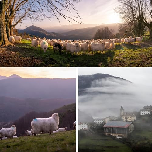 THE BASQUE gourmet – Schafskäse aus Rohmilch – Spanischer Käse aus dem Baskenland (D.O. Idiazabal) – Gereift & Natürlich – 1,2 kg –Geschenkbox mit Griff – Handwerklich hergestellt