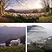 Imagen de THE BASQUE gourmet, Queso Curado de Oveja D