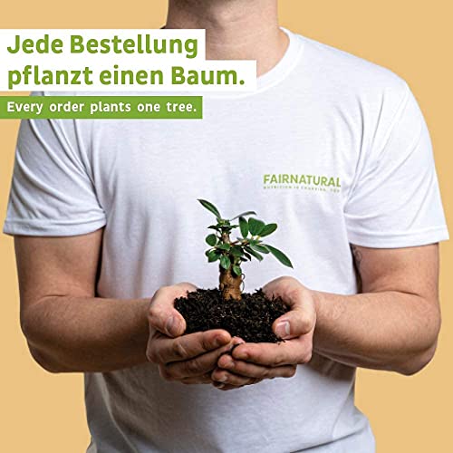 Fairnatural Premium Vegan Vitamin B12 mit hoher Bioverfügbarkeit [Regional aus Deutschland] 90 Kapseln | Hochwertig, clean, vegan & hochdosiert