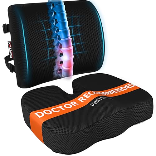 FORTEM Office Chair Cushion and Back Support for Office Chair, Lumbar Support Pillow, Memory Foam, Non Slip Sitting and Back Rest for Gaming, Car Seat Cushion, Chair Pad