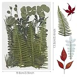 Zoom IMG-2 woohome 69 pz naturali pressati Zoom IMG-2 woohome 69 pz naturali pressati