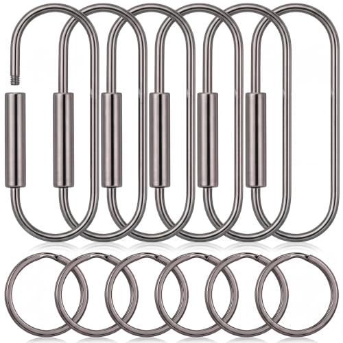 Image of WILLBOND Brass Carabiner Key Ring Locking Screw Carabiner Clips Round Key Rings Keychain Kit for Handbags Purse Bag Charm