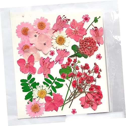 Paquete de 30 flores artesanales prensadas secas para decoración miniatura 4