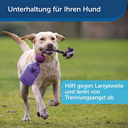 PetSafe Busy Buddy Tug-a-Jug Hundespielzeug, Snackspender mit Seil, Beschäftigung und Gewichtskontrolle, Größe M/L