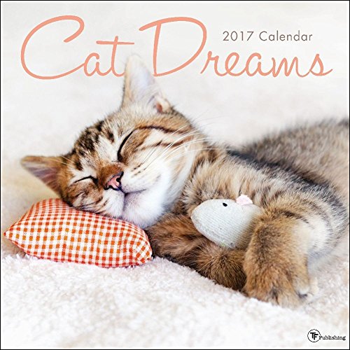 TF Publishing 2017 Cat Dreams Wall Calendar (17-1021)