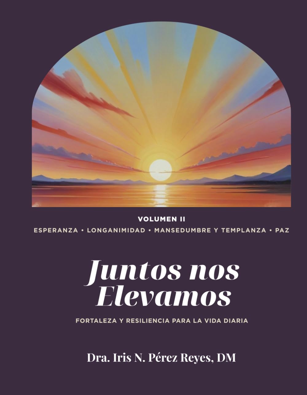 Juntos nos Elevamos Vol. 2: Fortaleza y resiliencia para la vida diaria