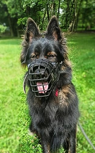 Dingo Gear Gummierte metallmaulkorbe für Rottweiler Hündin Professionelle Bequeme universelles Produkt für Langen Spaziergängen S03045