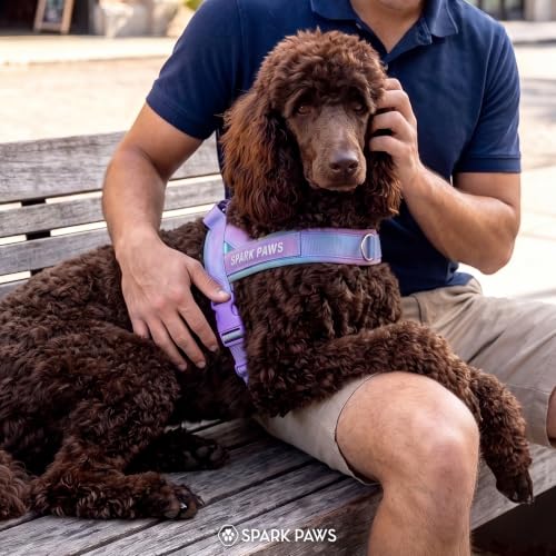 Image of Spark Paws No Pull Front Clip Dog Harness - Easy On, Padded and Lightweight | Two Clips, On in Seconds, Chest Bearing, Australian Style, No Throat Pressure, for Small Medium and Large Breeds