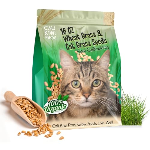 CALI KIWI PROS Organic Cat Grass for Indoor Cats & Pets-Wheat Grass for Digestion and Hairballs - Non-GMO - 16 - oz