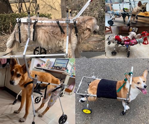 XL Wózek inwalidzki dla zwierząt domowych z 4 kółkami i podparciem nóg, metalowy wózek rehabilitacyjny dla małych zwierząt, pomoc w poruszaniu się dla niepełnosprawnych zwierząt domowych, dla psów i