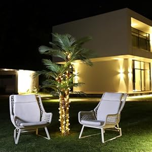 Artificial Palm Tree for Outdoor 8ft Tall UV Resistant Fake Tropical Golden Cane Palm Tree Large Faux Palm Plants for Outside Patio, Poolside, Lawn, Porch and Home Office Indoor Decor, Set of 1 Artificial Palm Tree for Outdoor 8ft Tall UV Resistant Fake Tropical Golden Cane Palm Tree Large Faux Palm Plants for Outside Patio Poolside Lawn Porch and Home Office Indoor Decor Set of 1