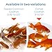Toledo Goldfish Comet Feeder Goldfish: Live Feeder Goldfish Perfect for Stocking Ponds, Tanks, and Aquariums – 0.75 to 1.5 inches, 10 Fish