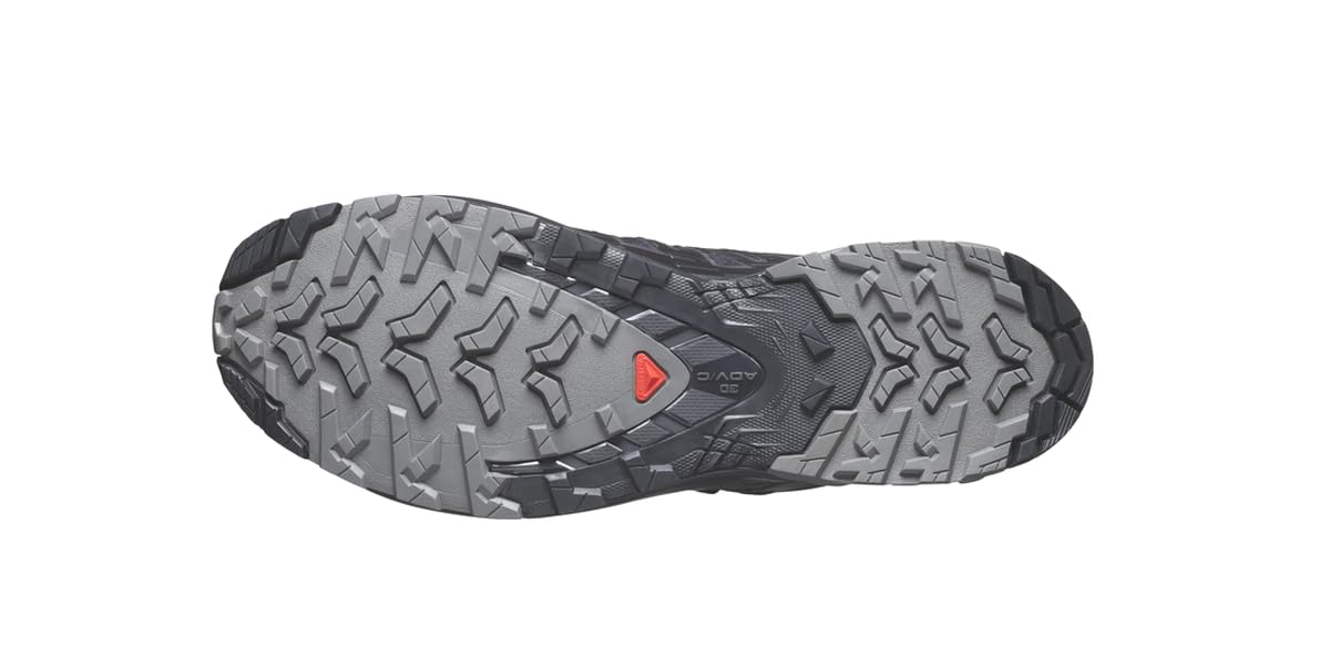 Salomon XA PRO 3D v8 GTX Herren-Schuhe Mit 3D Advanced Chassis Für Trailrunning