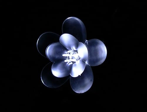 Miniatura 20 de CB-100W Crystal Blossoms - Cadena de luz LED, 7 pies de longitud (una sola hebra)