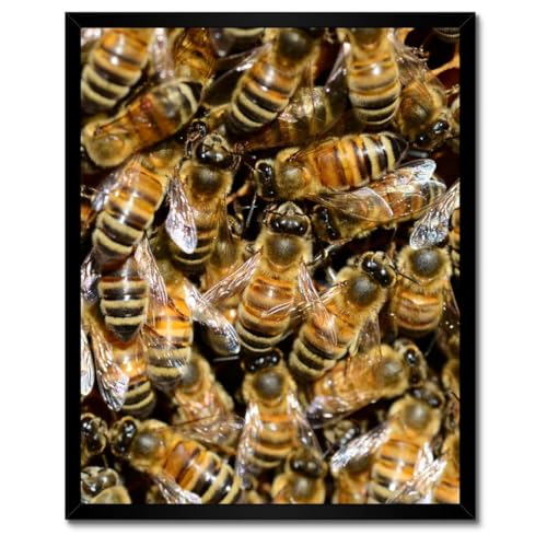 Abeilles au travail poster encadré blanc pour créer une ambiance zen au salon