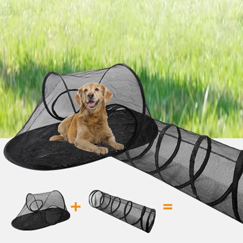 Tunnel pour chat extérieur résistant pour sécuriser les sorties