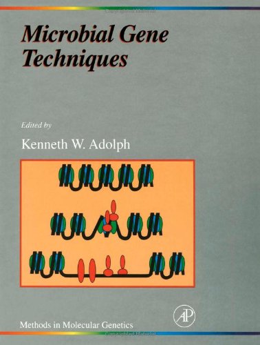 Microbial Gene Techniques, Volume 6: Molecular Microbiology Techniques Part B (Methods in Molecular Genetics)