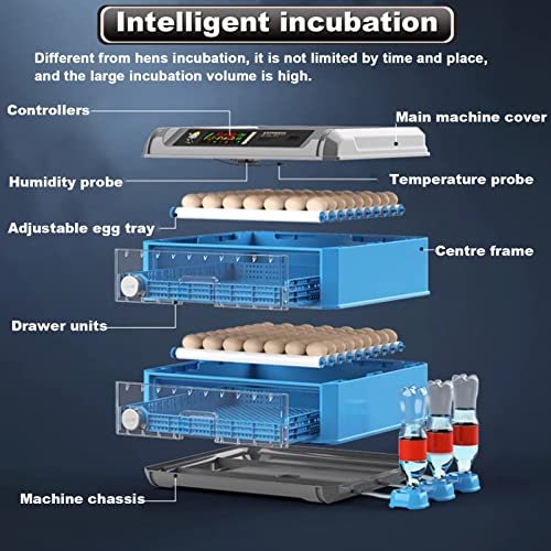 Incubadora de huevos para incubar aves de corral, totalmente automática con control de temperatura y volteador automático de huevos