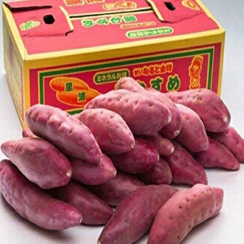  󂠂 ȂƋ ނ IׂTCY 10kg (2L)