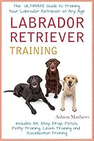 Labrador Retriever Training: The Ultimate Guide to Training Your Labrador Retriever at Any Age: Includes Sit, Stay, Drop, Fetch, Potty Training, Leash Training and Socialization Training 152152307X Book Cover