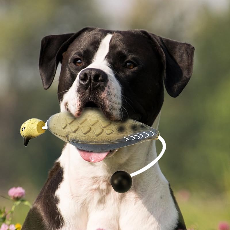 Bumper Gun Dog Retrieving Dummies Puppy Bumpers For Small Dogs
