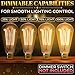 Incandescent Light Bulbs 60 Watt ST64 Style Amber & Dimmable - 4 Pack Edison Bulbs, E26 Base, 2200K Warm White, 210 Lumens, Vintage Exposed Filament, 2500 Hr Lifespan, for Indoor & Outdoor Use