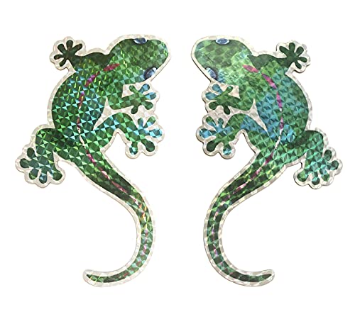 Sonoran Souvenirs Gecko Screen Magnets (6