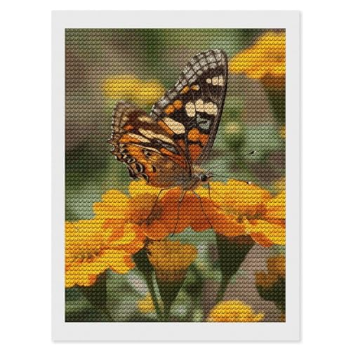 Loisir créatif diamant 5D papillons et fleurs - Éveillez votre esprit artistique avec cette toile