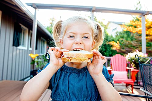 Little Chickpea | Chickpeas? Really!? All-Natural Chickpea Butter | Non-Dairy | Gluten-Free, Soy-Free, Nut-Free| Non-Gmo| Kosher| High Fiber| High Protein| Good For You| Sustainable-Spread | Drought-Proof| Allergy Free| 16Oz Jar, Pack Of 1 #TOP3